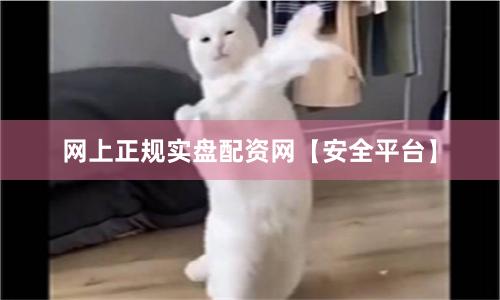 网上正规实盘配资网【安全平台】