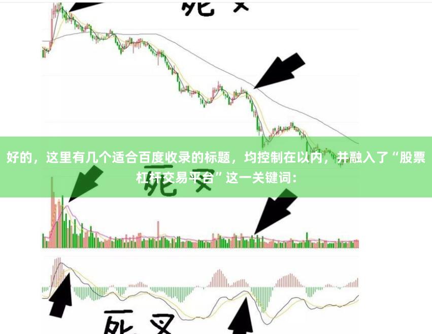 好的，这里有几个适合百度收录的标题，均控制在以内，并融入了“股票杠杆交易平台”这一关键词：