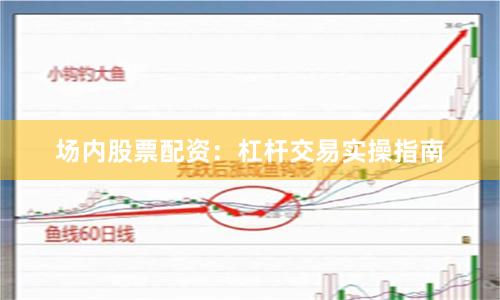 场内股票配资：杠杆交易实操指南