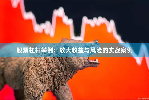 股票杠杆举例：放大收益与风险的实战案例